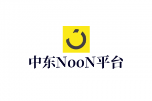 noon教程 noon选品 运营 广告 noon新手 中东电商学习