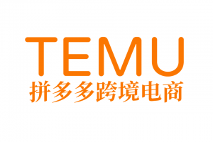 拼多多海外版Temu跨境新手入门电商课程，Temu运营培训视频教程