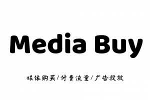 Media Buy 新人入门培训，媒体流量购买国外网赚MB项目