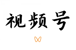微信视频号运营教程，内容创作技巧带货实操变现实战课程