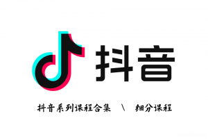 抖音系列课程（抖音带货 \ 抖音抖店 \ 抖音个人IP \ 抖音矩阵 \ 抖音培训PPT \ 抖音千川 \ 抖音商品卡 \ 抖音图文 \ 抖音运营 \ 抖音直播）