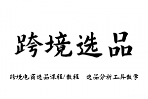 跨境电商选品教程/选品课程 产品开发培训选品分析工具助手