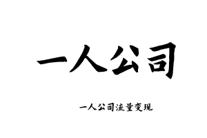 一人公司流量变现教程个人ai创业教育职场智能体小白文档资料课程