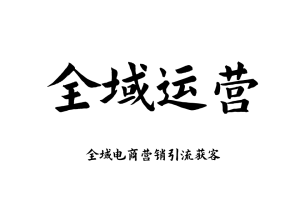 2026 全域投流教程 全域运营 全域电商营销引流获客投放课程